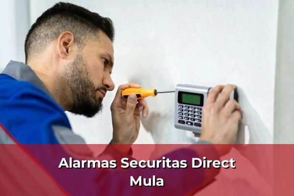 Alarmas Securitas Direct en Mula