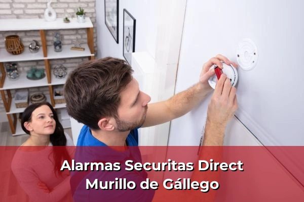 Alarmas Securitas Direct en Murillo de Gállego