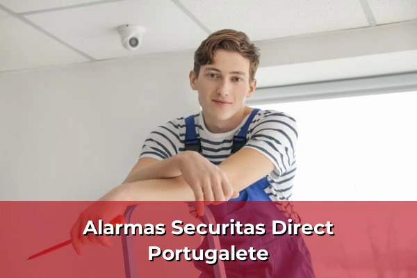 Alarmas Securitas Direct en Portugalete