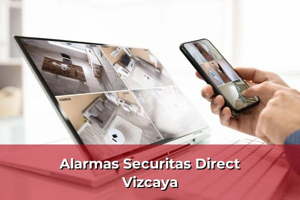 Alarmas Securitas Direct en Vizcaya