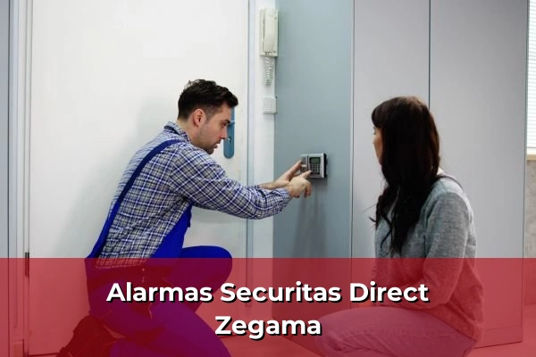 Alarmas Securitas Direct en Zegama